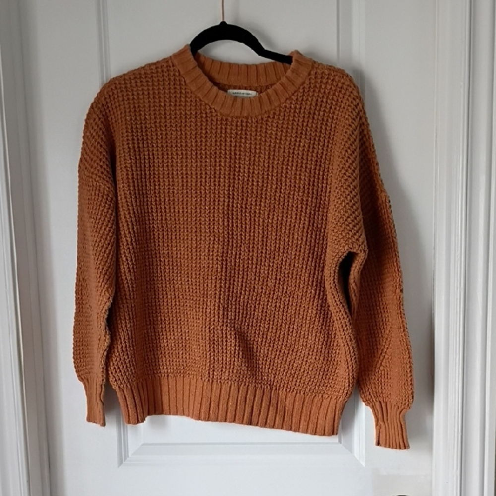 American Eagle Outfitters Women's Chunky Crewneck Sweater - Rust Orange